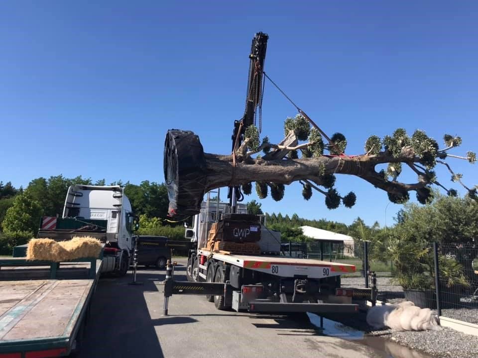 Grue 15T